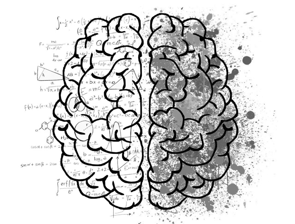 creative brain in black and white